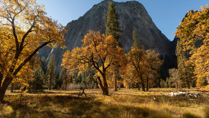 November in the Sierras