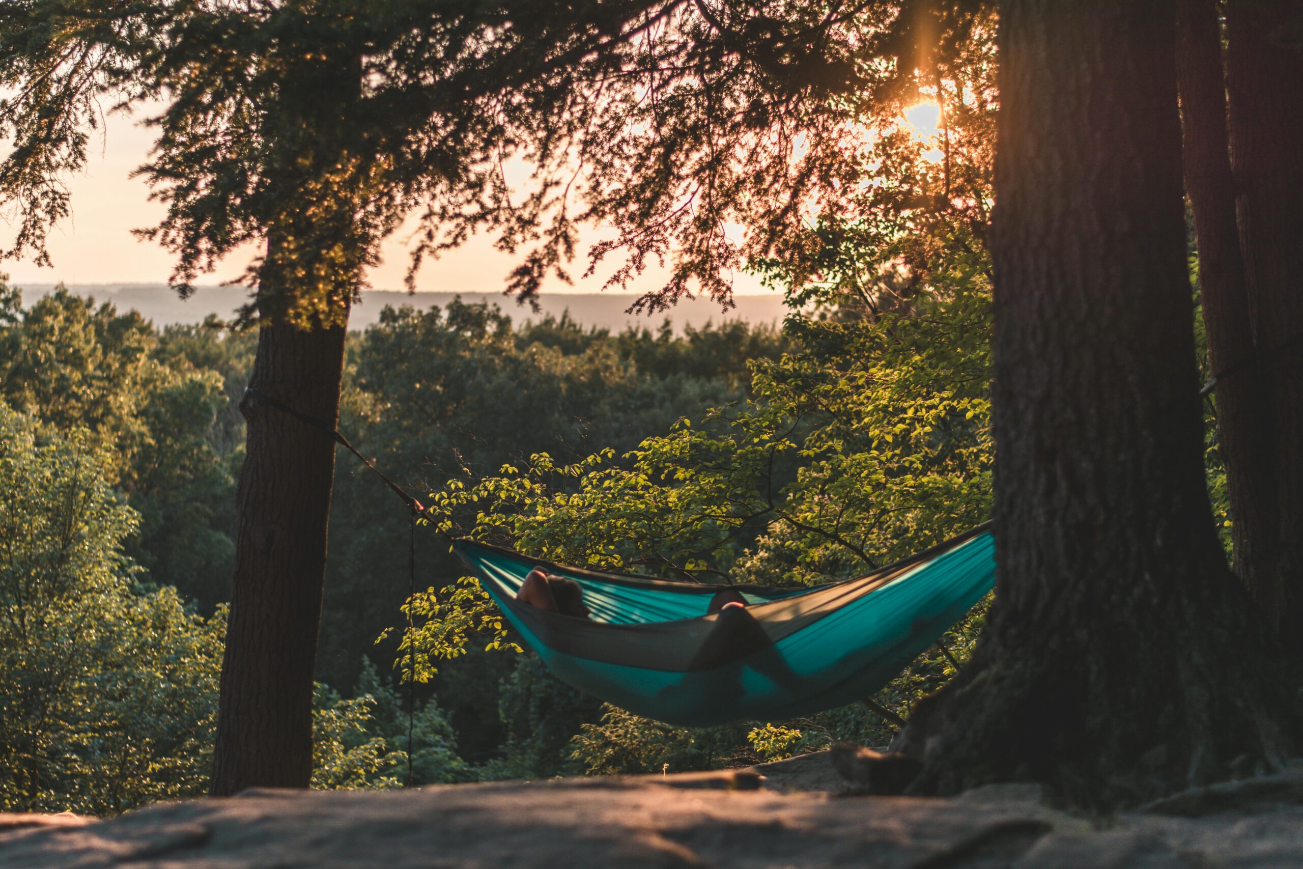 Yosemite Summer Vacation - Hammock