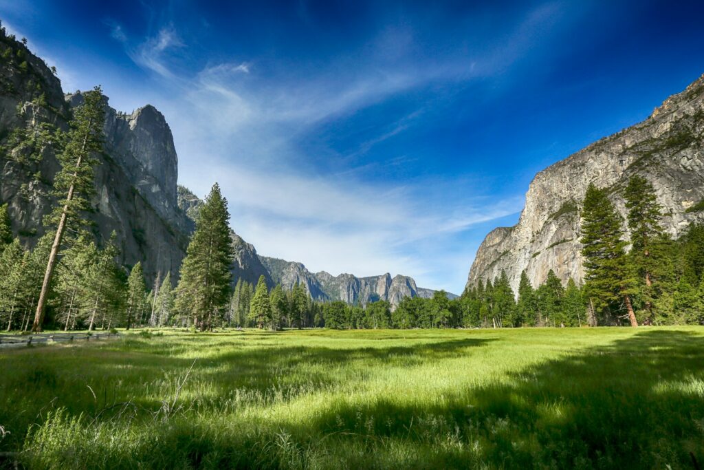 summer vacation in yosemite national park